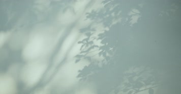 4K 中式园林、中式古建筑、写意意境庭院