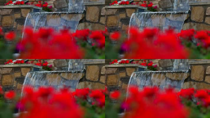 背景为石墙中具有水景的红花散焦