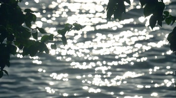 波光粼粼的江水河水光斑