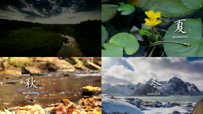 清新唯美四季开场片头视频素材