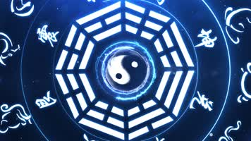 【AE模板】八卦-5