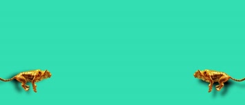 双金虎奔跑抠绿