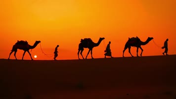 【4K】沙漠商队 【4K】沙漠商队