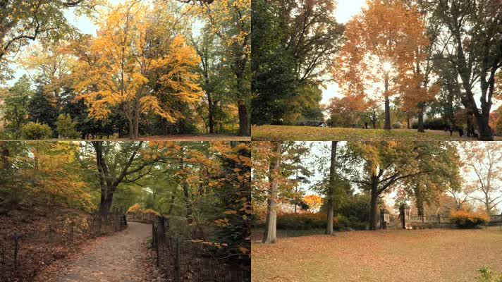 【4K】秋天公园