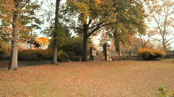 【4K】秋天公园