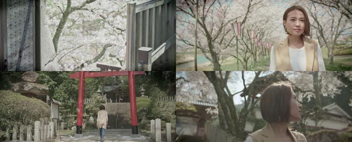 樱花美女，日本樱花，日本园林