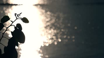 波光粼粼的湖面水面波纹慢镜头视频素材 波光粼粼的湖面水面波纹慢镜头视频素材