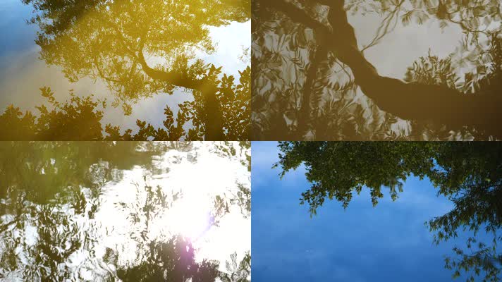 树木树叶在水中的倒影水波纹涟漪视频素材