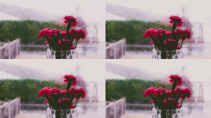 窗外下雨，城市下雨，窗外窗台鲜花