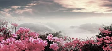 新LED高清映山红大型舞台背景韩红伴奏版