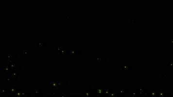 萤火虫循环带通道 萤火虫循环带通道