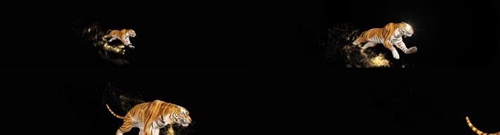 4K原创老虎踏福而来