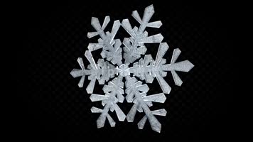 雪花粒子后期特效