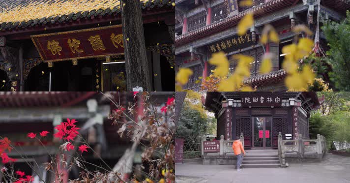 4k升格实拍文殊院内秋色银杏 唯美合集2