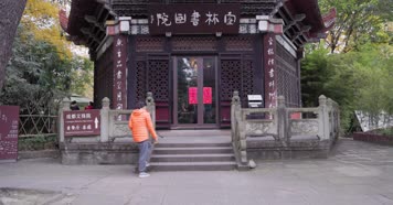 4k升格实拍文殊院内秋色银杏 唯美合集2