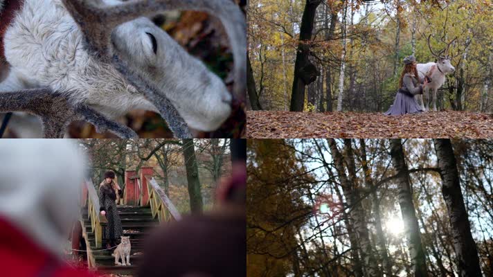 美女和野兽，人与大自然动物