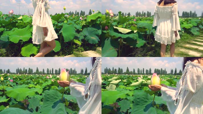 4k美女户外荷花