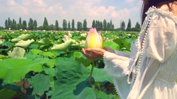 4k美女户外荷花