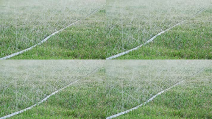 草坪维护浇水