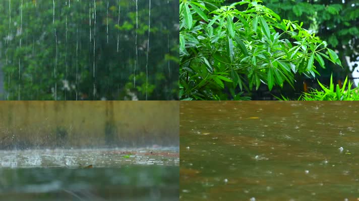 下雨空境，雨水，树叶雨滴，水珠，下雨