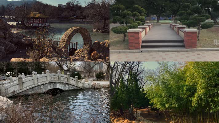 原创拍摄冬季公园园林景观