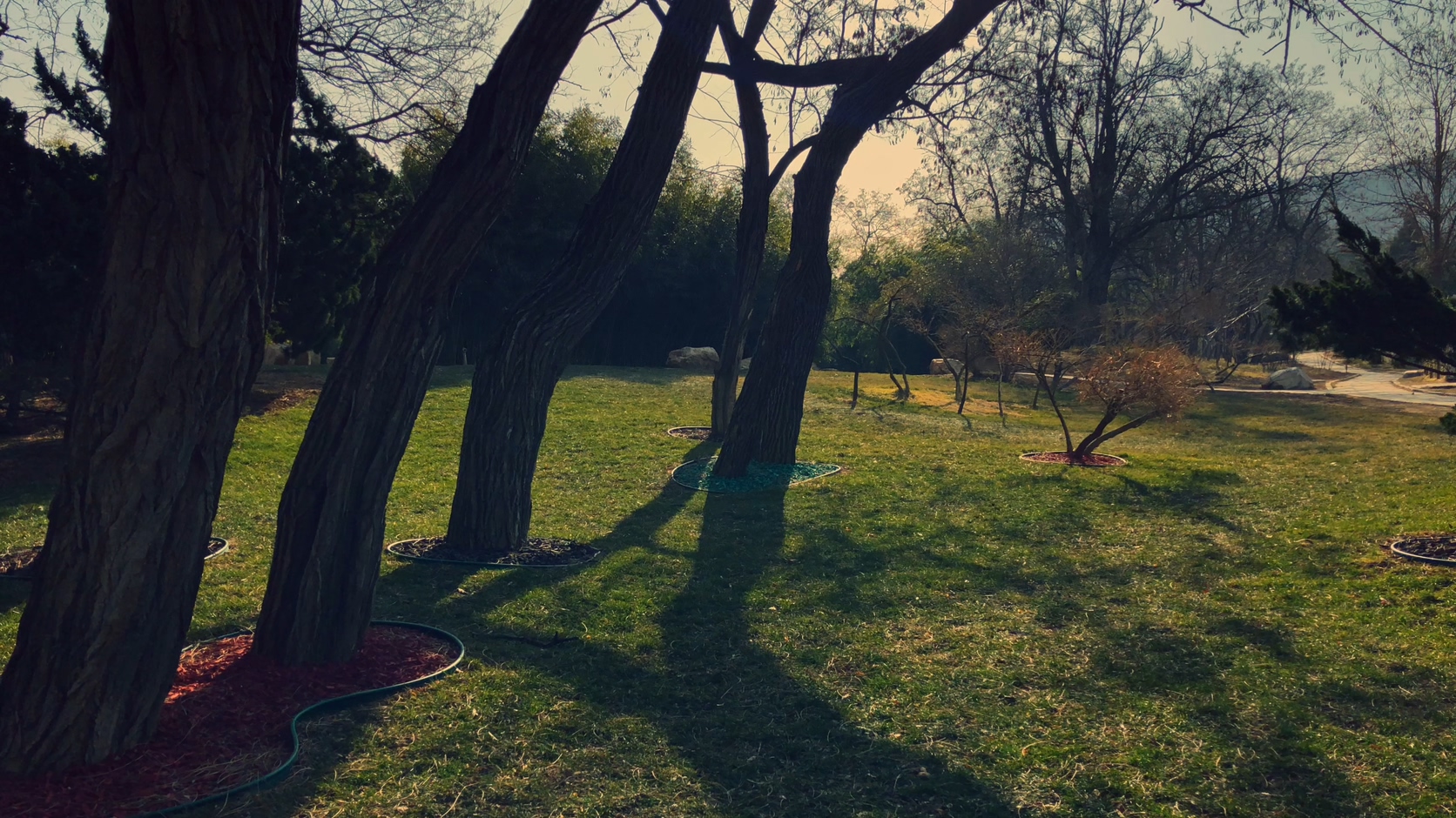 原创拍摄冬季公园园林景观