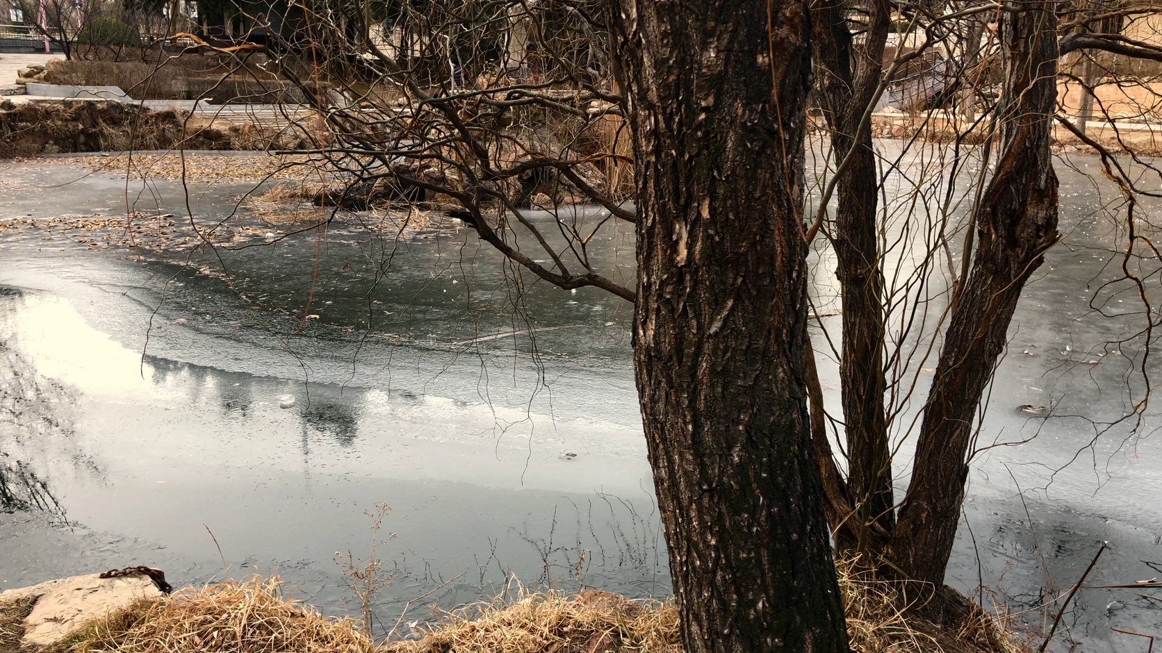 原创拍摄冬季公园园林景观
