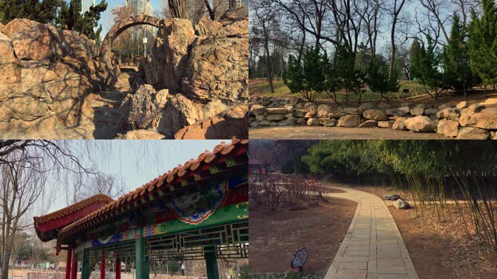 原创拍摄冬季公园园林景观