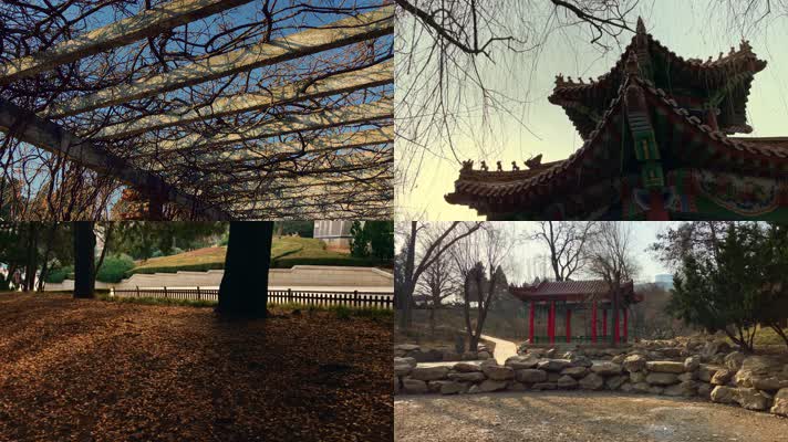 原创拍摄冬季公园园林景观