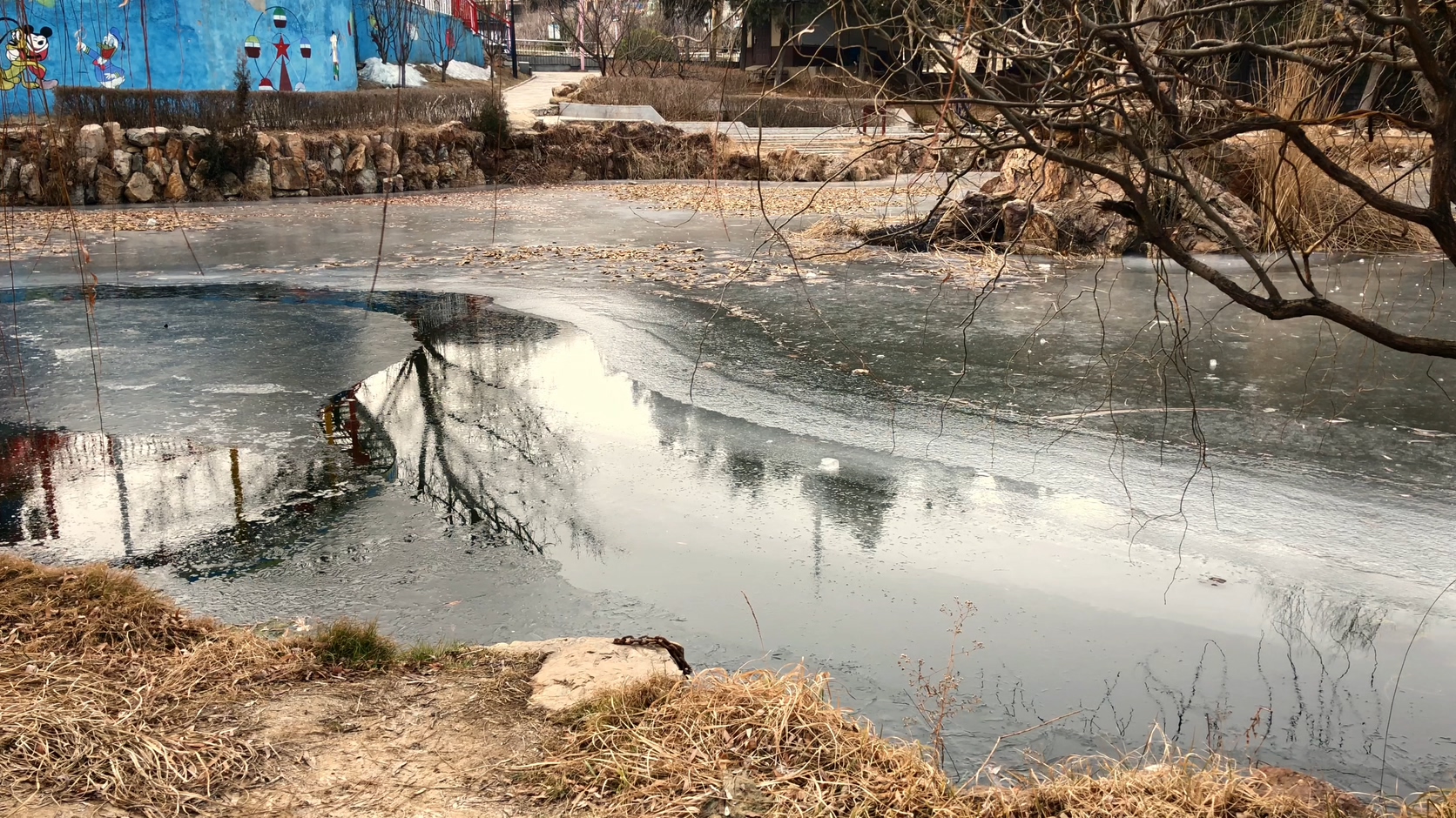 原创拍摄冬季公园园林景观