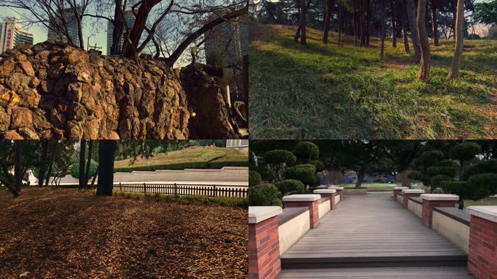 原创拍摄冬季公园园林景观