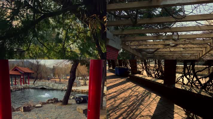 原创拍摄冬季公园园林景观