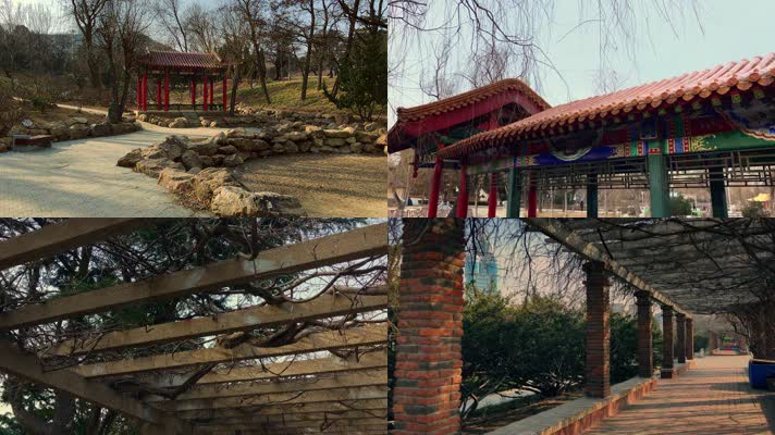 原创拍摄冬季公园园林景观