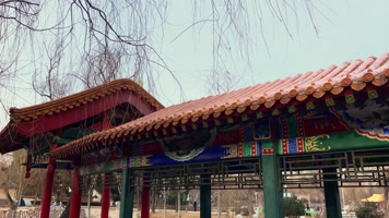 原创拍摄冬季公园园林景观