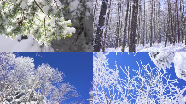 雪景雾凇冰雪冬天树挂白雪皑皑旅游美景