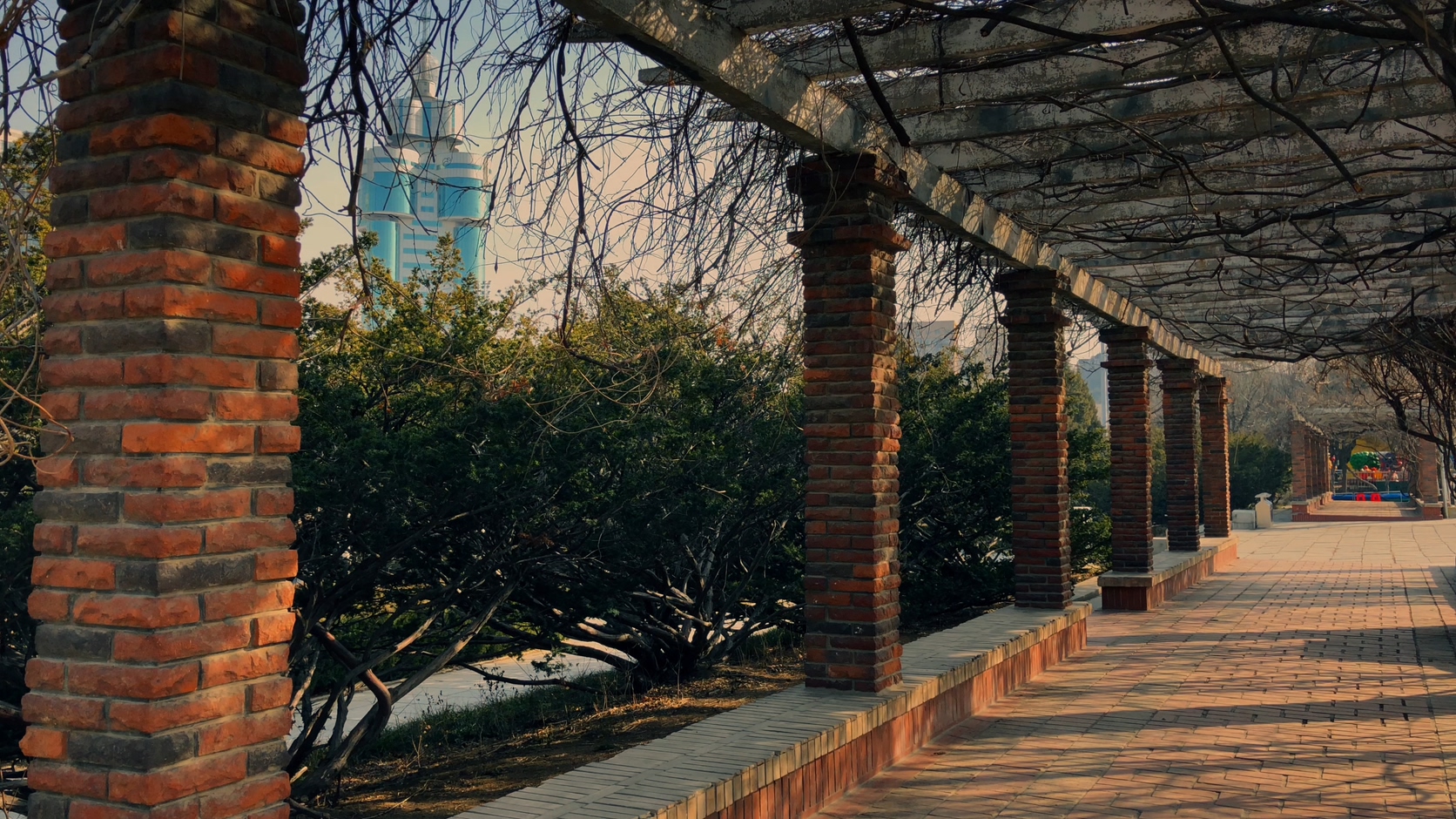 原创拍摄冬季公园园林景观