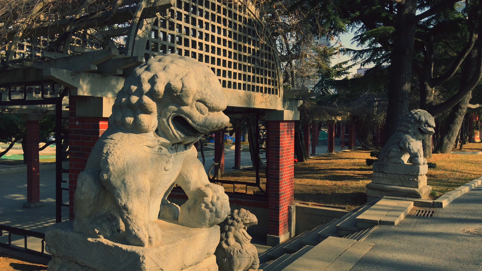 原创拍摄冬季公园园林景观