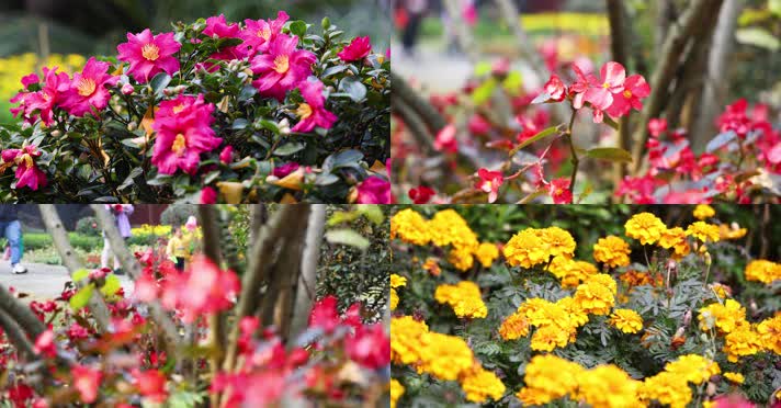 4k升格实拍市民公园花草植物园林唯美景观