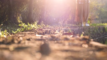穿百褶裙的女孩在阳光下行走背影视频素材