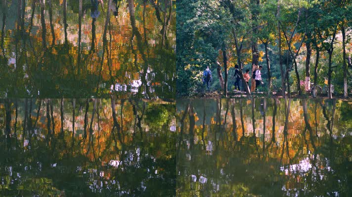 秋天湖面水中的唯美倒影，水波荡漾4k视频