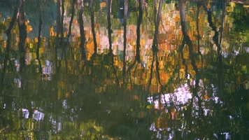 秋天湖面水中的唯美倒影，水波荡漾4k视频