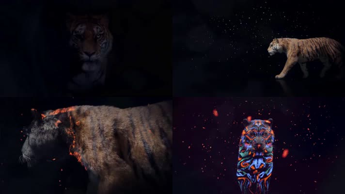 老虎3d动画，老虎行走