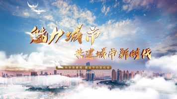 大气片头【3定板】