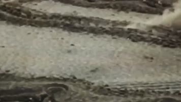 1948年淮海战役 胜利解放