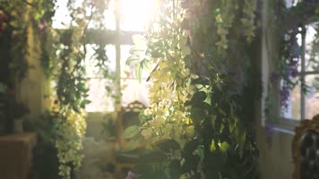 窗户光影时间变化时间流逝光影移空镜 窗户光影时间变化时间流逝光影移空镜