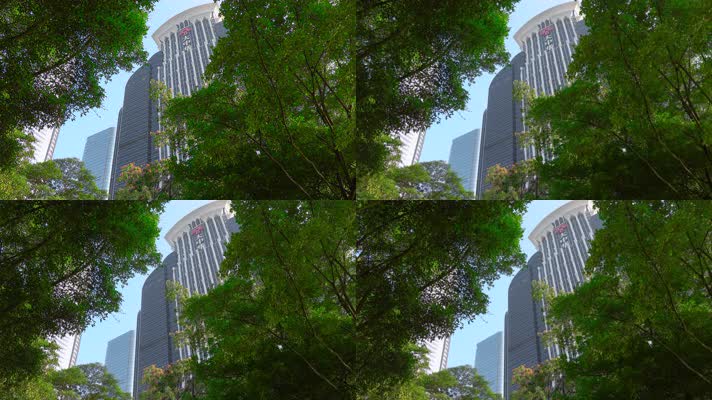 深圳摩天楼视频透过树枝仰拍深圳大中华大楼
