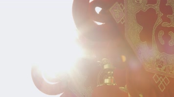 新年红包 新年红包