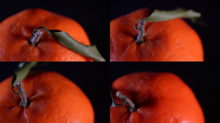 秋冬水果橙子维生素 (6)