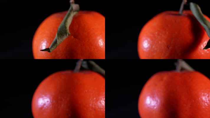水果橘子橙子 (2)