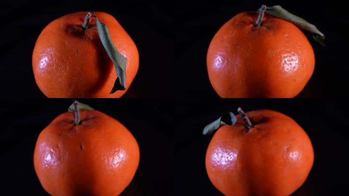 水果橘子橙子 (5)
